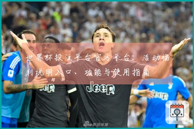 世界杯投注平台官方平台：活动福利说明入口、功能与使用指南