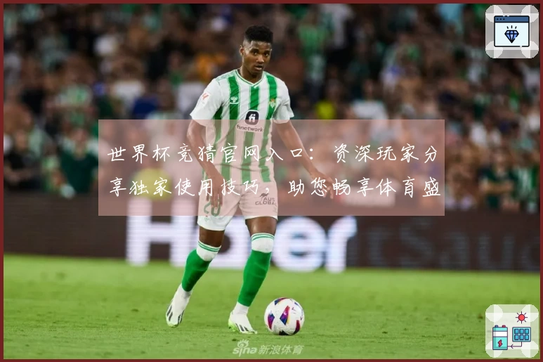世界杯竞猜官网入口:资深玩家分享独家使用技巧,助您畅享体育盛宴